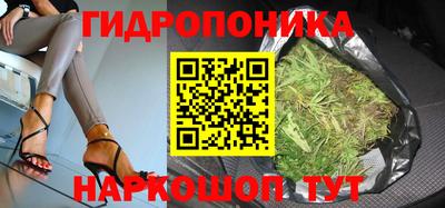 прущие крисы Нарткала