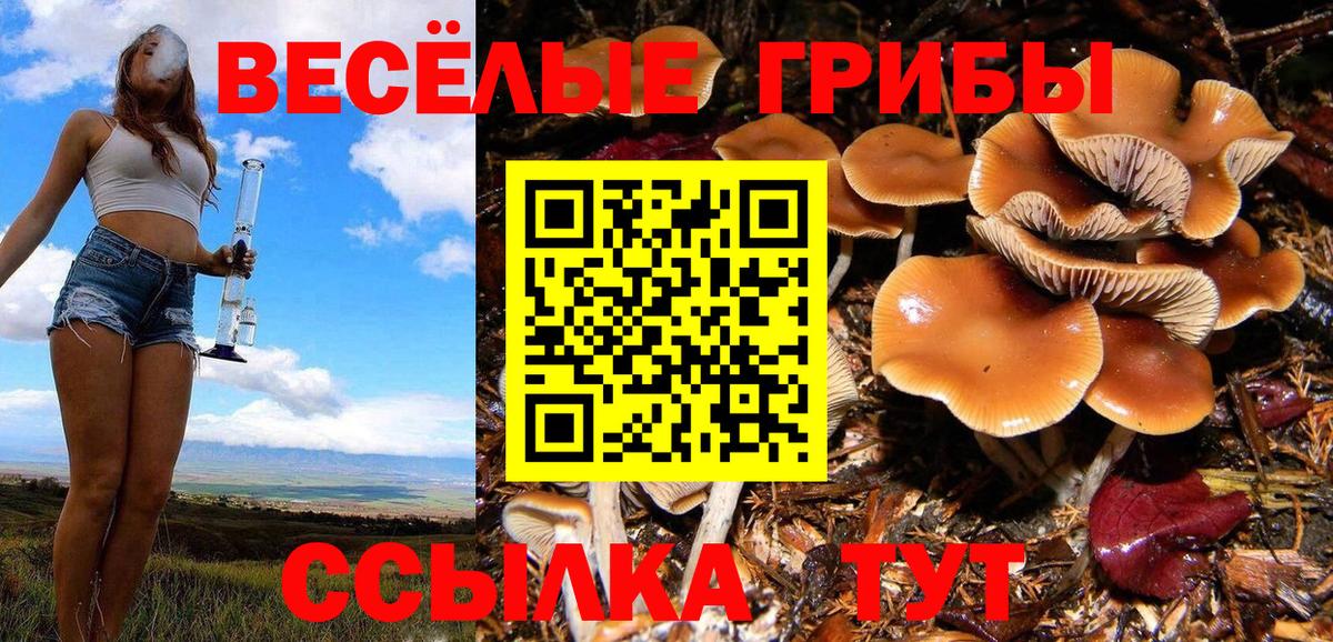 Галлюциногенные грибы ЛСД  Вход с VPN  Якутск 