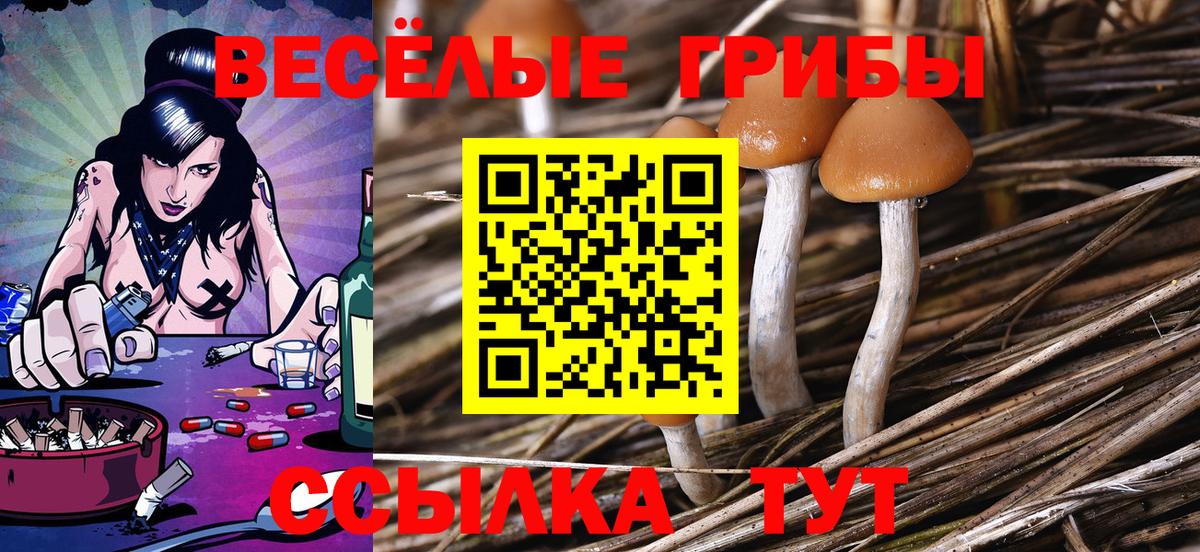Галлюциногенные грибы Cubensis Якутск